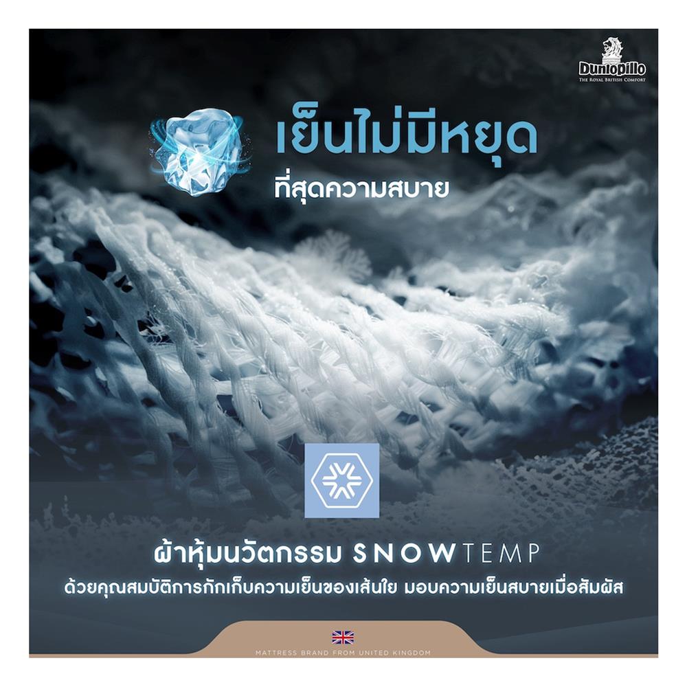 ที่นอน 5 ฟุต DUNLOPILLO VENUS (พร้อมหมอนหนุน 2 ใบ)