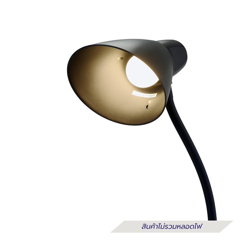 ไฟตั้งพื้น CARINI MT16-1521BK สีดำ 1 หัว