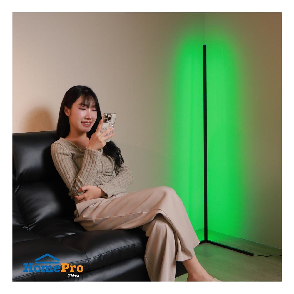 ไฟตั้งพื้น LED CARINI MT16-3670 16 วัตต์ สีขาว/ดำ