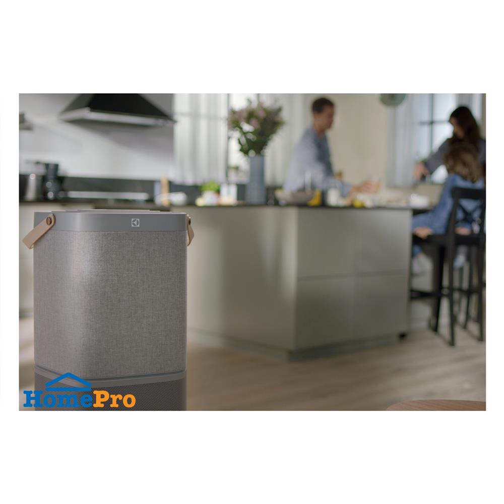 แผ่นกรองเครื่องฟอกอากาศ ELECTROLUX EFDCLN6