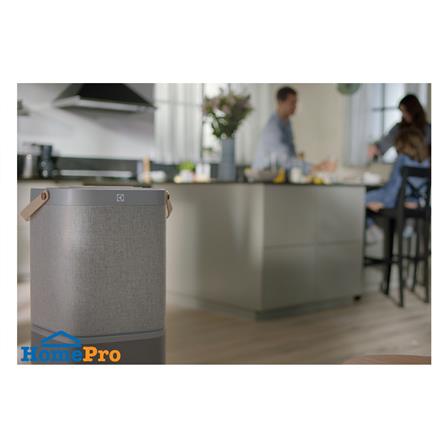 แผ่นกรองเครื่องฟอกอากาศ ELECTROLUX EFDCLN4_5