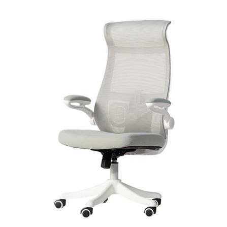 เก้าอี้สำนักงาน DESKSPACE NEXCHAIR สีเทา_0