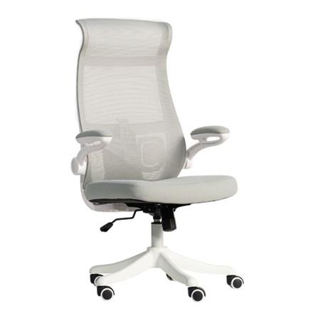 เก้าอี้สำนักงาน DESKSPACE NEXCHAIR สีเทา_2