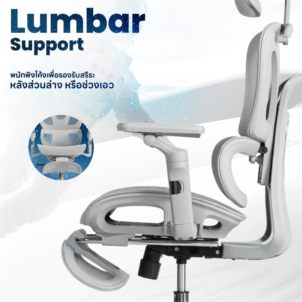 เก้าอี้สุขภาพ DESK SPACE STELLAR CHAIR สีเทา