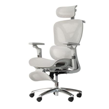 เก้าอี้สุขภาพ DESK SPACE STELLAR CHAIR สีเทา_0