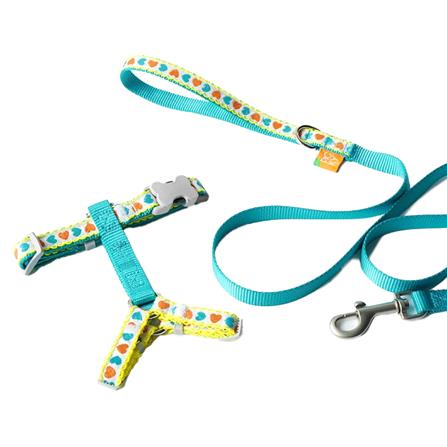 เซ็ตสายรัดอกสัตว์เลี้ยง พร้อมสายจูง KAFBO GARDEN SIZE XS สีเขียว_0