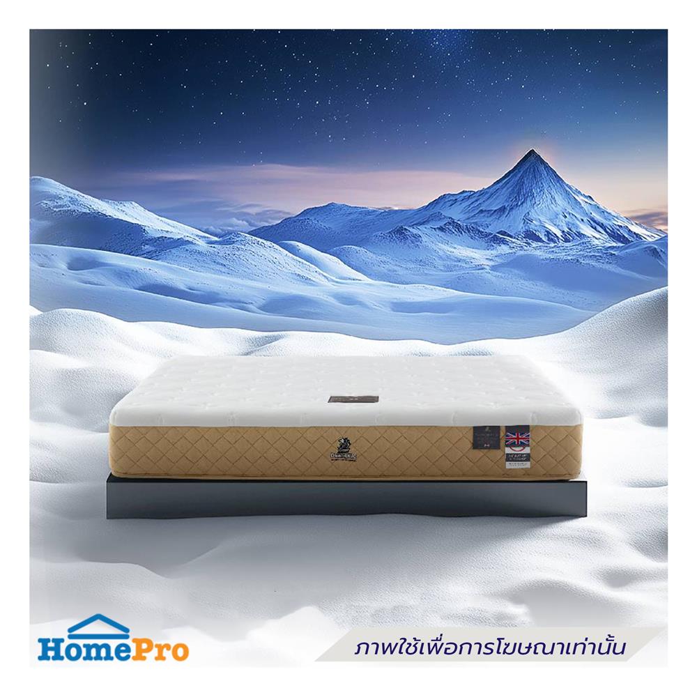 ที่นอน 3.5 ฟุต DUNLOPILLO EXTRA GRACE (พร้อมชุดเครื่องนอน 3 ชิ้น)