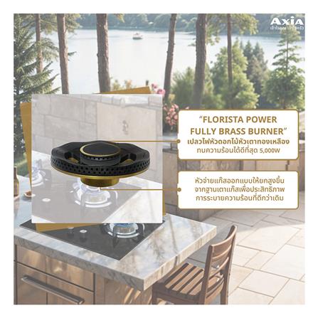เตาฝัง+เครื่องดูดควัน AXIA FLO72-2G+HERO BLACK 90_5