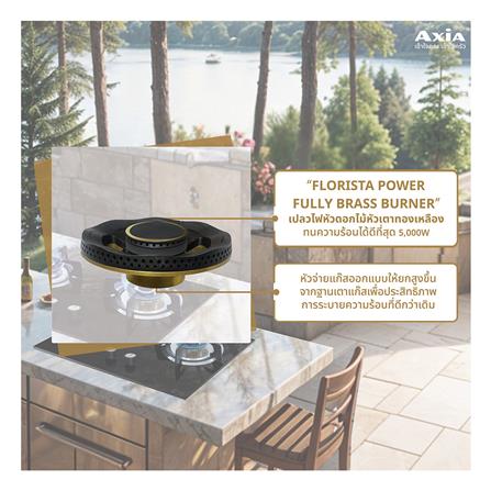 เตาฝัง+เครื่องดูดควัน AXIA FLO72-2G+HERO KNIGHT 90_5