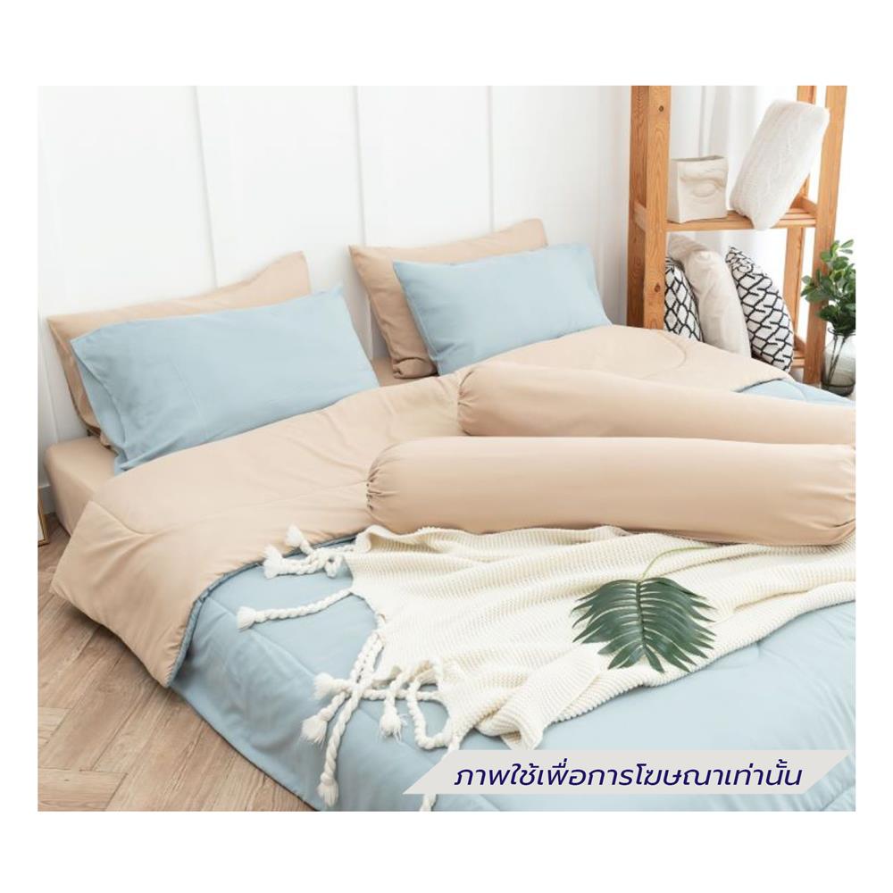 ชุดผ้าปูที่นอน 5 ฟุต (ชุด 6 ชิ้น) SANTA BEDDING สี CREAM/LIGHT BLUE