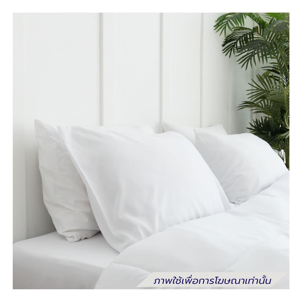 ชุดผ้าปูที่นอน 3.5 ฟุต (ชุด 4 ชิ้น) SANTA BEDDING สีขาว