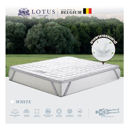แผ่นรองนอน 3.5 ฟุต LOTUS FORESTEX II สี WHITE_3