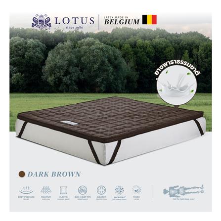 แผ่นรองนอน 3 ฟุต LOTUS FORESTEX II สี DARK BROWN_3