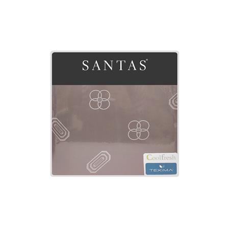 ชุดผ้าปูที่นอน 3.5 ฟุต (ชุด 3 ชิ้น) SANTAS TEXIMA BLITHE GR_5