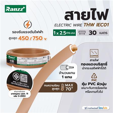 สายไฟ THW IEC01 RANZZ 1x2.5 ตร.มม. 30 ม. สีน้ำตาล_4