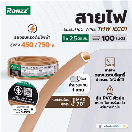 สายไฟ THW IEC01 RANZZ 1x2.5 ตร.มม. 100 ม. สีน้ำตาล_4