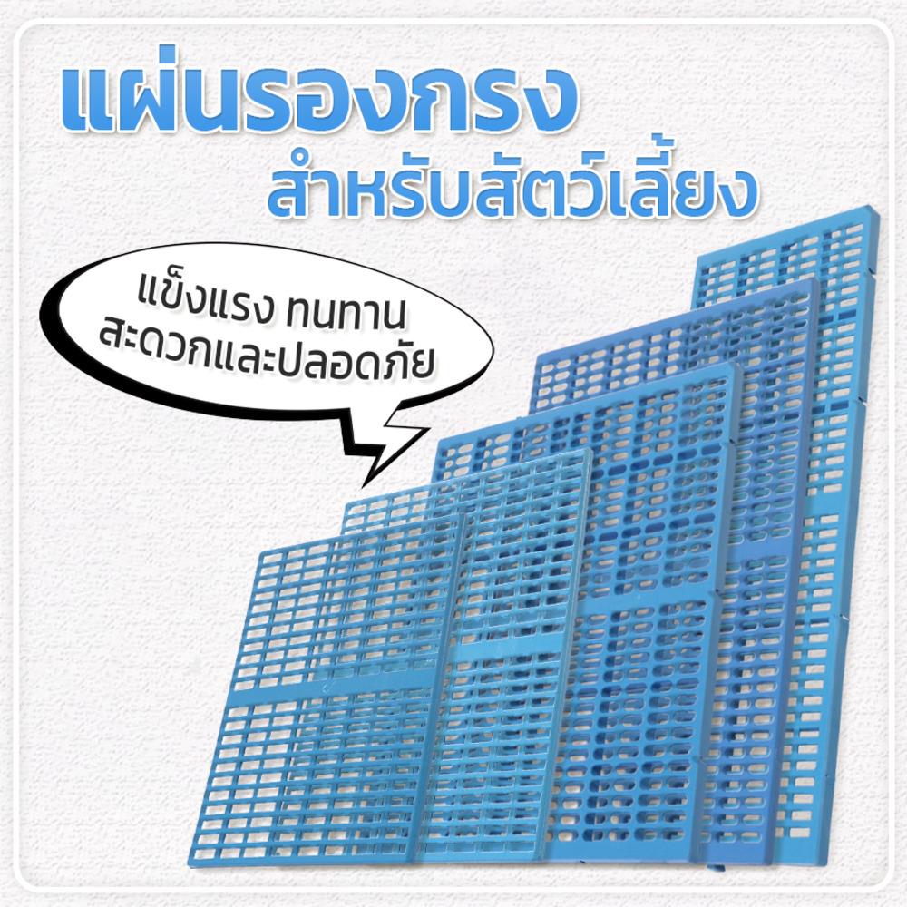แผ่นรองกรง PETUS 90X30 ซม. สีฟ้า