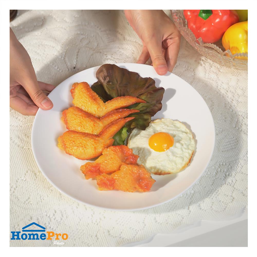 จานตื้น OPAL GLASS 10 นิ้ว KECH AURA KLEAR