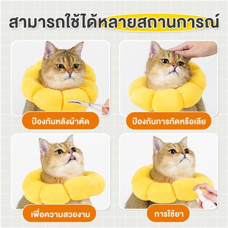 ปลอกคอสัตว์เลี้ยงกันเลีย PETUS รูปทานตะวัน ไซซ์ XS สีเหลือง_5