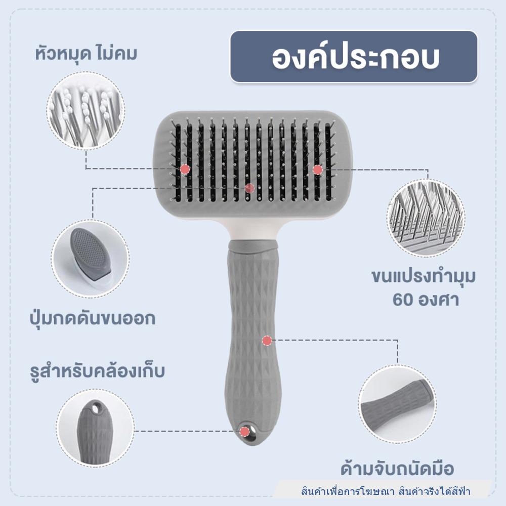แปรงหวีขนสัตว์เลี้ยง PETUS ทรงเหลี่ยม สีฟ้า