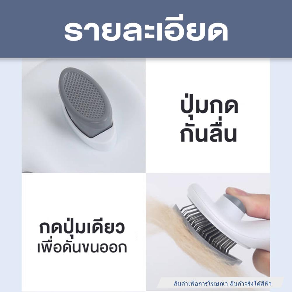 แปรงหวีขนสัตว์เลี้ยง PETUS ทรงเหลี่ยม สีฟ้า