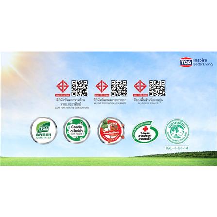 สีน้ำทาภายนอก ชนิดด้าน TOA PRO EXPERT PM100 9 ลิตร_3