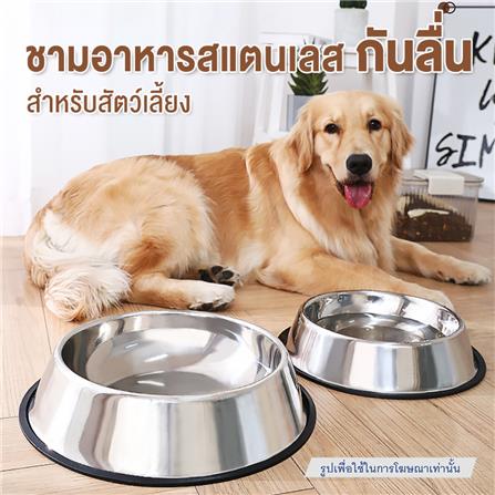 ชามอาหารสัตว์เลี้ยง กันลื่น PETUS 16 ซม. สีแสตนเลส_1