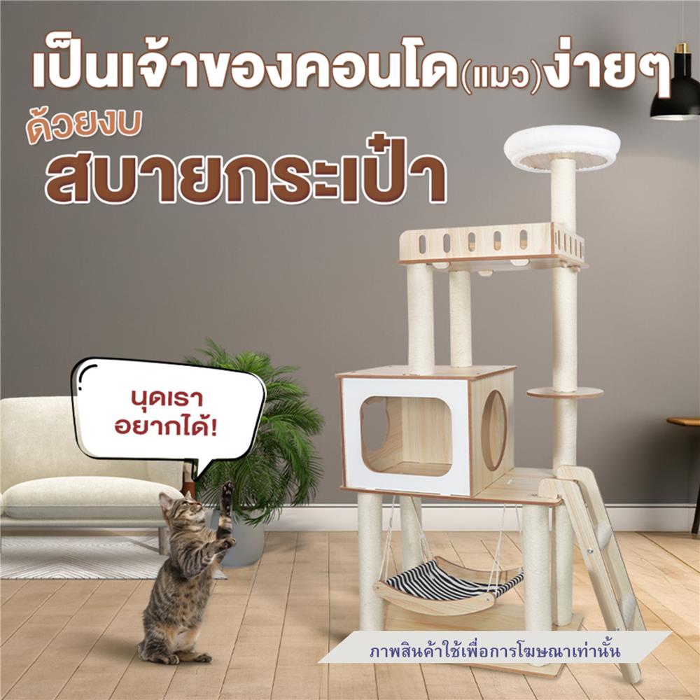คอนโดแมวไม้ PETUS P101 146X68.5 ซม.