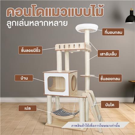 คอนโดแมวไม้ PETUS P058-1 92X59.5 ซม._2