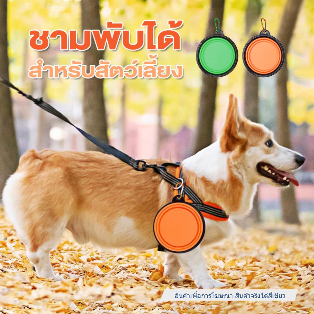 ชามอาหารสัตว์เลี้ยง พับได้ PETUS 16 ซม. สีเขียว