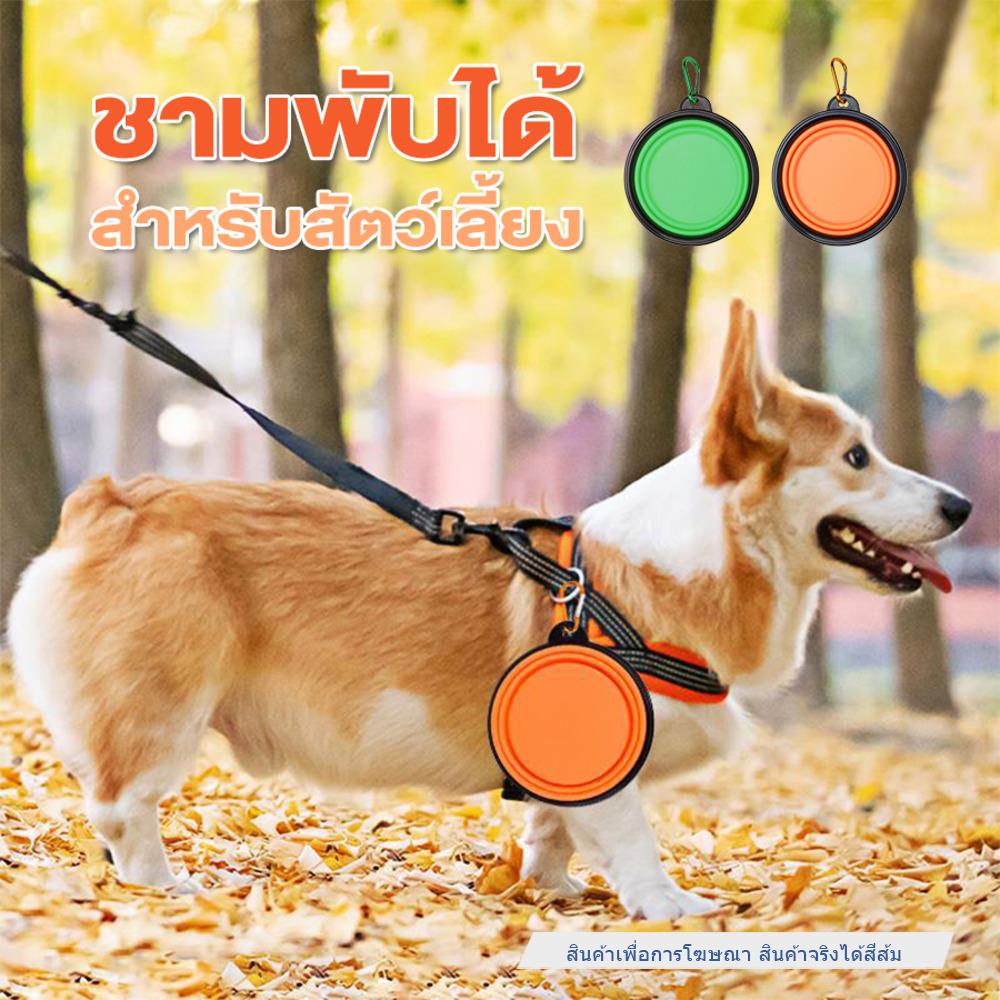 ชามอาหารสัตว์เลี้ยง พับได้ PETUS 16 ซม. สีส้ม