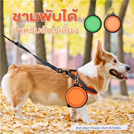 ชามอาหารสัตว์เลี้ยง พับได้ PETUS 16 ซม. สีส้ม_2