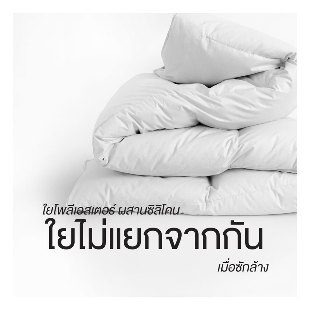 ชุดผ้าปูที่นอน 5 ฟุต (ชุด 6 ชิ้น) FROLINA MICROTEX DF070