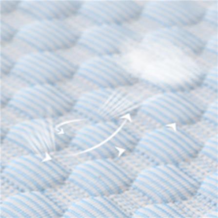 เบาะหมอนสัตว์เลี้ยง DPETT SIZE L 80x60 ซม. สีฟ้า_1