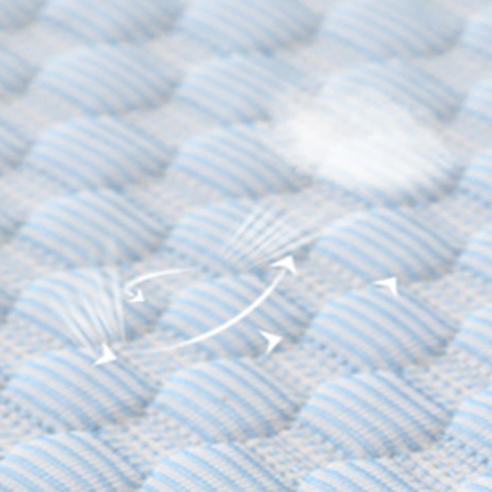 เบาะหมอนสัตว์เลี้ยง DPETT SIZE L 100x75 ซม. สีฟ้า