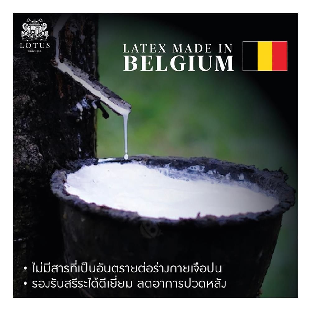 แผ่นรองนอน 3.5 ฟุต LOTUS FORESTEX III สี NAVY BLUE