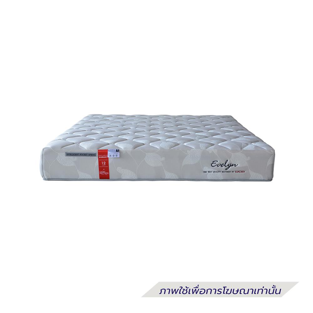 ที่นอน 3.5 ฟุต FTLUCKY MATTRESS EVELYN