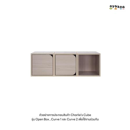 ตู้เก็บของบานเปิด OYAKOO CHARLIE’S CURVE 1 829050 30 ซม. ลายไม้_4