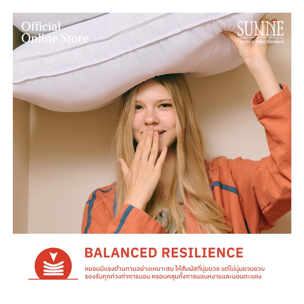 หมอนหนุน ขนห่านเทียม SUNNE GOOSEHEAVEN 19x29 นิ้ว (1 แถม 1)