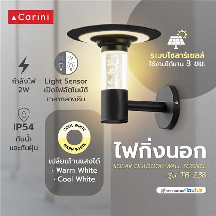 ไฟกิ่งภายนอก SOLAR CARINI TB-238 2 วัตต์ COOL WHITE/WARM WHITE สีดำ_6