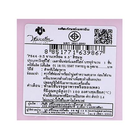 จานเหลี่ยมเมลามีน 9.5 นิ้ว VANDA CLASSIC สีชมพู_4