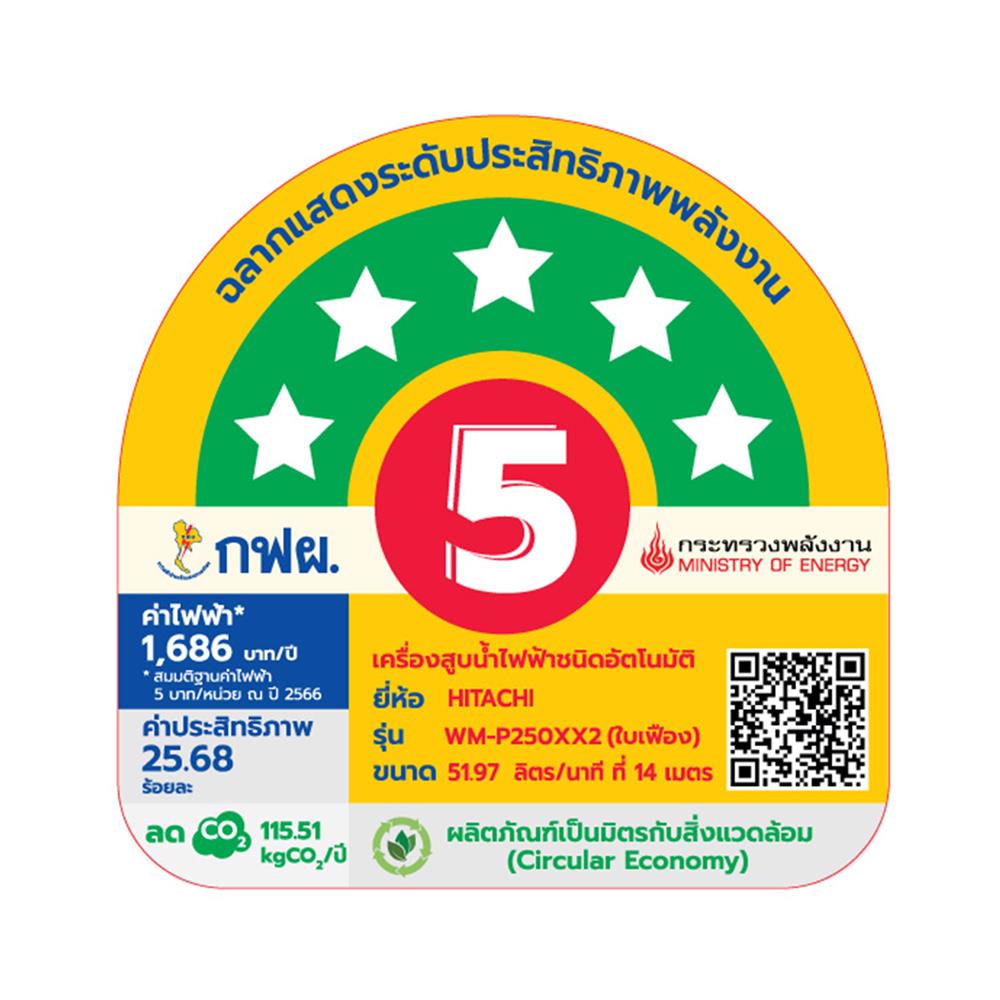 ปั๊มน้ำอัตโนมัติ HITACHI WM-P250XX2 250 วัตต์