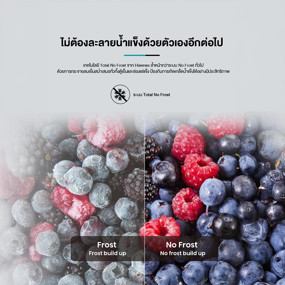 ตู้เย็น 2 ประตู HISENSE RT549N4TBN 15 คิว สีดำ