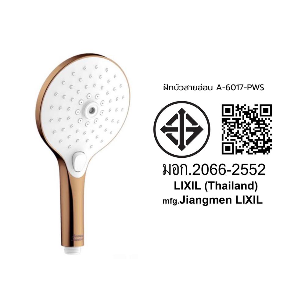 ชุดฝักบัวสายอ่อน 3 ระดับ AMERICAN STANDARD A-6017-PWS สีทอง