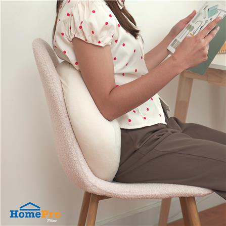 หมอนอิง SNAZZ FREEZY 17x12.5 นิ้ว สีน้ำตาล_4