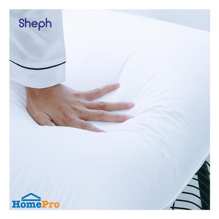 หมอนหนุน ไมโครไฟเบอร์ SHEPH GENTRY FIRM 19x29 นิ้ว_4