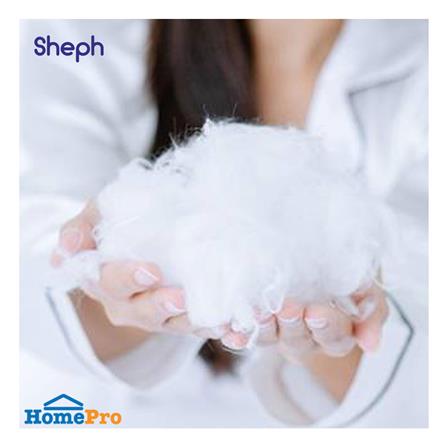 หมอนหนุน ไมโครไฟเบอร์ SHEPH GENTRY FIRM 19x29 นิ้ว_5