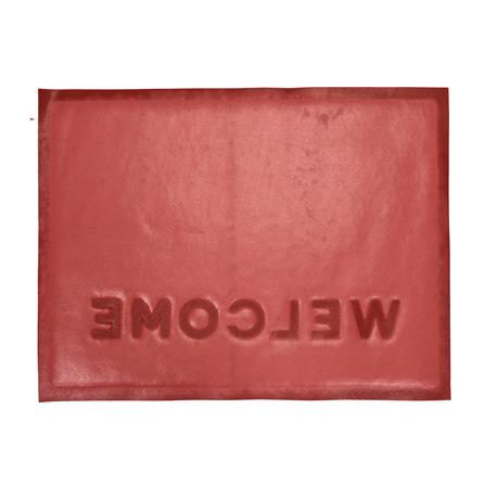 พรมเช็ดเท้าดักฝุ่น HOME LIVING STYLE W.NEO 60X80 ซม. สีแดง_2