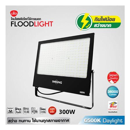 สปอตไลท์ภายนอก LED SHINING S-FD30065B-2 300 วัตต์ DAYLIGHT_5