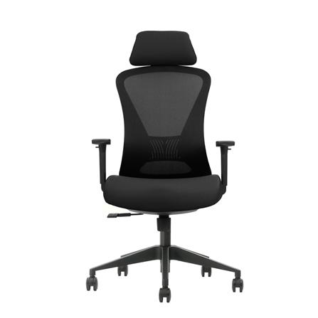 เก้าอี้สุขภาพ BEWELL FOSTER GEN 2 สีดำ_0